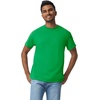 image:imageGildan Adult Heavy Cotton TShirt Style G5000Irish Green