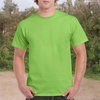 image:imageGildan Adult Heavy Cotton TShirt Style G5000Lime