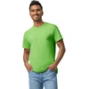 image:imageGildan Adult Heavy Cotton TShirt Style G5000Lime