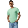 image:imageGildan Adult Heavy Cotton TShirt Style G5000Mint Green