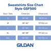 image:imageGildan Adult Softstyle Hoodie Sweatshirt Style GSF500Dark Heather