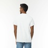 image:imageGildan Adult Ultra Cotton TShirt Style G2000 MultipackAsh Grey