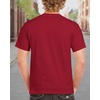 image:imageGildan Adult Ultra Cotton TShirt Style G2000 MultipackCardinal Red