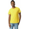 image:imageGildan Adult Ultra Cotton TShirt Style G2000 MultipackDaisy