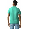 image:imageGildan Adult Ultra Cotton TShirt Style G2000 MultipackJade Dome