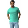 image:imageGildan Adult Ultra Cotton TShirt Style G2000 MultipackJade Dome