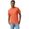 image:imageGildan Adult Ultra Cotton TShirt Style G2000 MultipackOrange