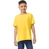 image:imageGildan UnisexChild Gildan Youth Heavy Cotton TShirt Style G5000b 2PackDaisy