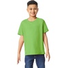 image:imageGildan UnisexChild Gildan Youth Heavy Cotton TShirt Style G5000b 2PackLime