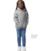 image:imageGildan Youth Hoodie Sweatshirt Style G18500BSport Grey