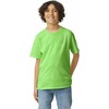 image:imageGildan Youth Ultra Cotton TShirt Style G2000B MultipackLime 2pack