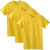 Daisy (3-pack)