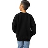 image:imageGildan Kids Fleece Crewneck Sweatshirt Style G18000bBlack