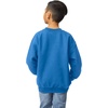 image:imageGildan Kids Fleece Crewneck Sweatshirt Style G18000bRoyal