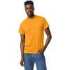 image:imageGildan UnisexAdult DryBlend TShirt Style G8000 MultipackGold 2pack