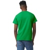 image:imageGildan UnisexAdult DryBlend TShirt Style G8000 MultipackIrish Green 2pack
