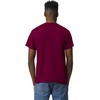 image:imageGildan UnisexAdult DryBlend TShirt Style G8000 MultipackMaroon 2pack