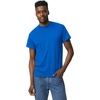 image:imageGildan UnisexAdult DryBlend TShirt Style G8000 MultipackRoyal 2pack