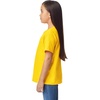 image:imageGildan Youth DryBlend TShirt Style G8000B 2PackDaisy