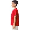 image:imageGildan Youth DryBlend TShirt Style G8000B 2PackRed
