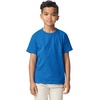 image:imageGildan Youth DryBlend TShirt Style G8000B 2PackRoyal